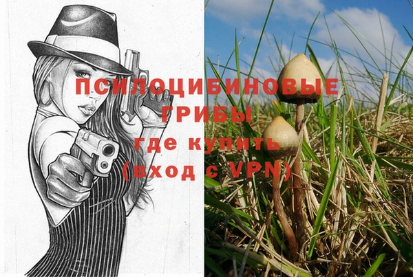 крисы Алексин