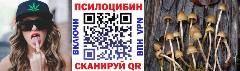 Галлюциногенные грибы Psilocybe  Пустошка 